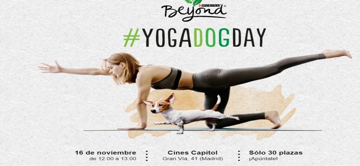 Purina Beyond te invita a participar al Yoga Dog Day