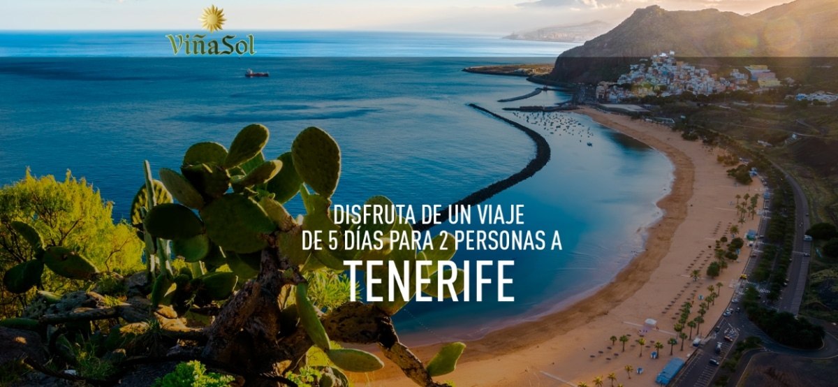 Gana 1 De Los 4 Viajes A Tenerife Que Regala Viña Sol