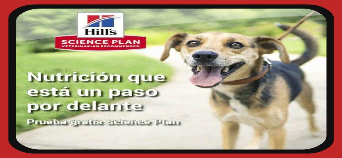 Science Plan Gratis Para Tu Mascota