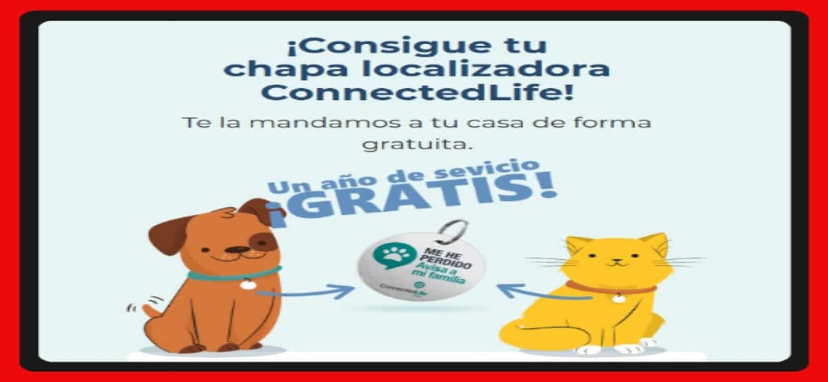 Connected Life Regala Chapas Localizadoras Para Tu Mascota