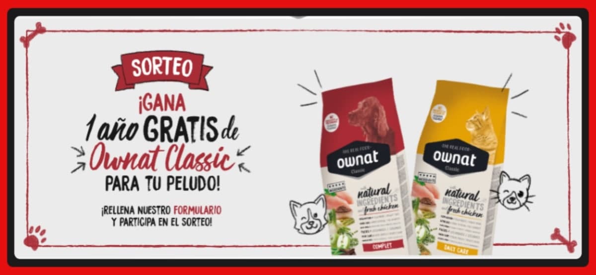 Consigue Alimento Para Tu Mascota