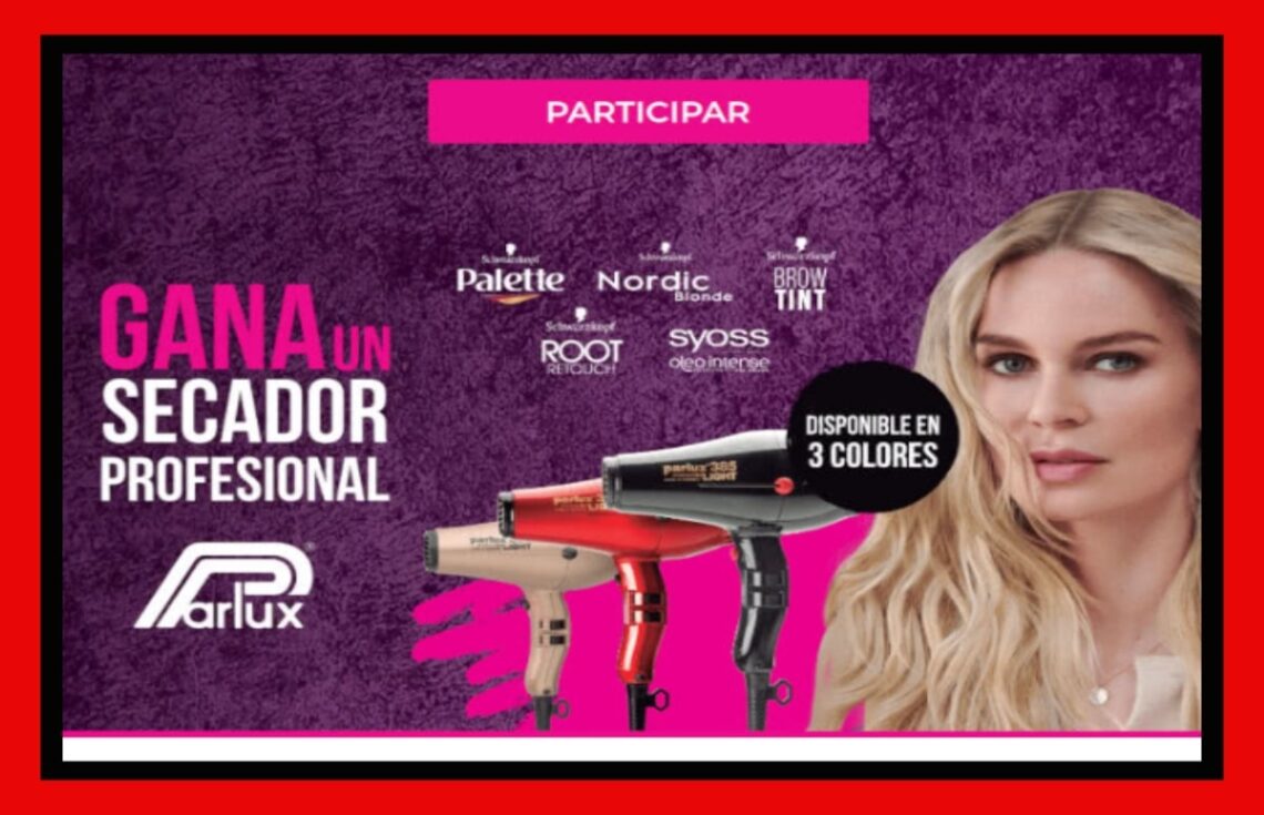 Consigue secadores profesionales