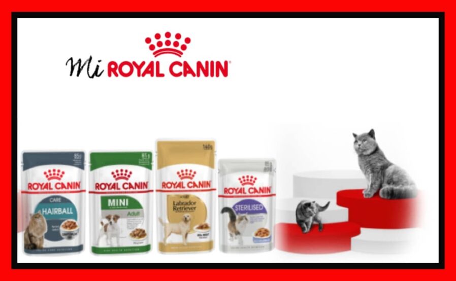 Royal Canin reparte alimento gratis para gatos