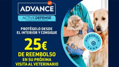 Advance Ahorrando en los gastos veterinarios